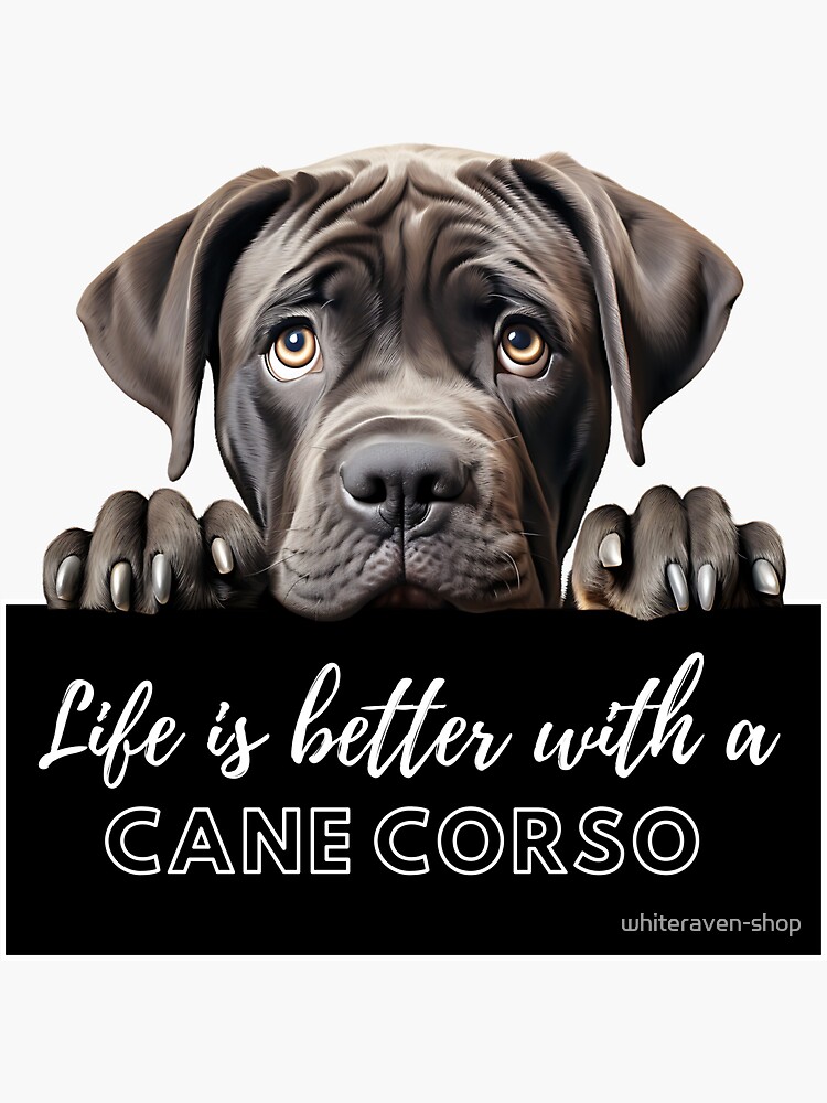 Cane corso hot sale lovers