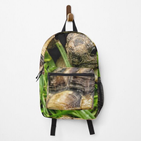 Item preview, Forest turtle photography designed and sold by Light79.