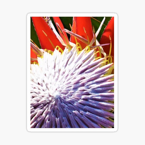 TROPICAL SATURDAY 2 - #49 Sticker