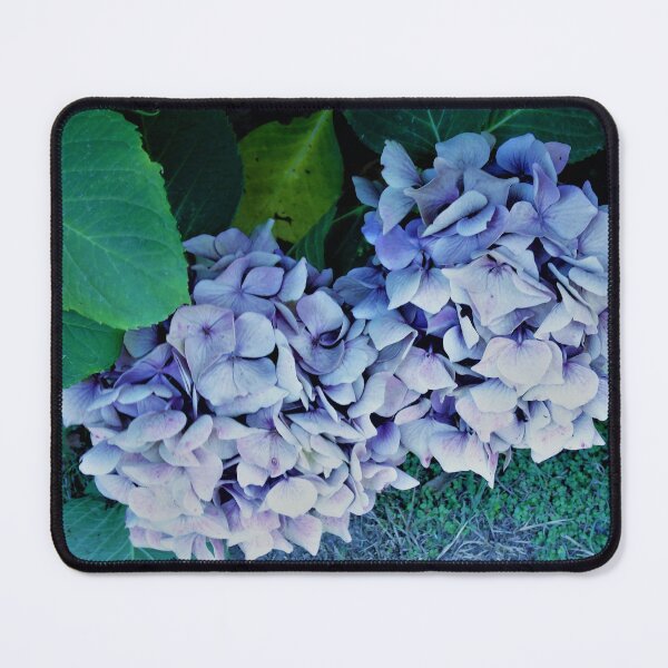 Item preview, Blue hydrangeas designed and sold by ART22.