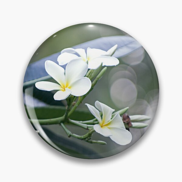 Item preview, Evergreen Offerings designed and sold by Kerryn Madsen-Pietsch.