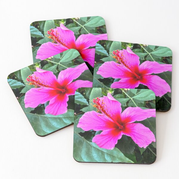 Item preview, Chinese Hibiscus designed and sold by stephenB.