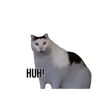 “Huh cat with text” Sticker for Sale by rbuser4 | Redbubble