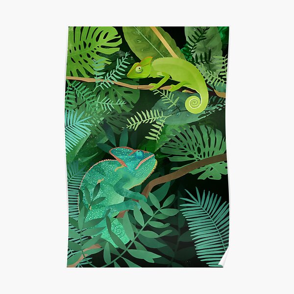 Chameleons Poster
