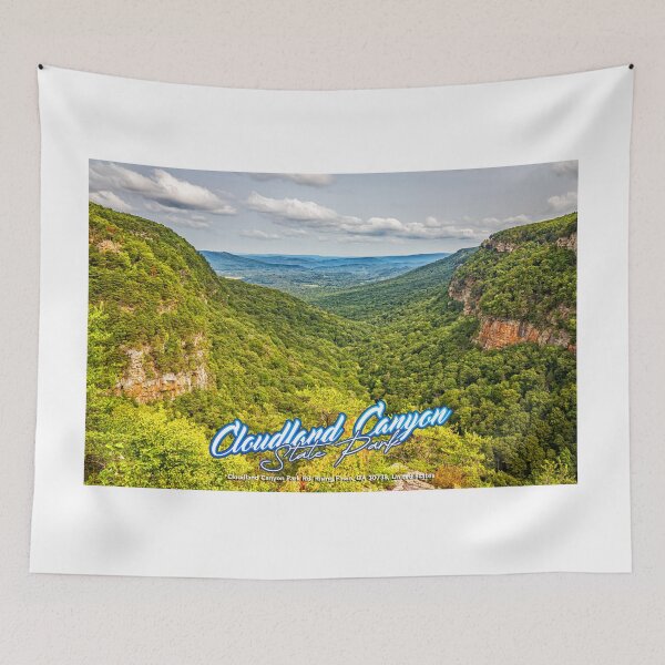 Item preview, Cloudland Canyon Georgia State Park designed and sold by GestaltImagery.