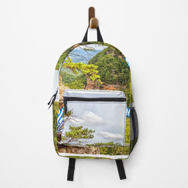 Item preview, Cloudland Canyon Georgia State Park designed and sold by GestaltImagery.