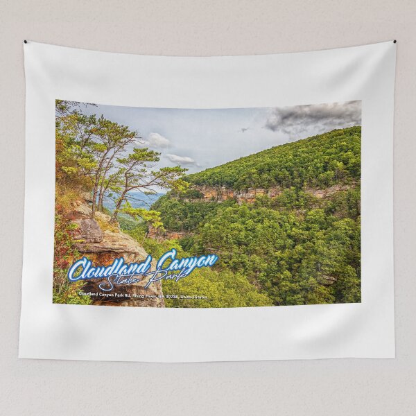 Item preview, Cloudland Canyon Georgia State Park designed and sold by GestaltImagery.
