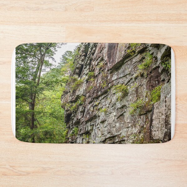 Item preview, Cloudland Canyon Georgia State Park designed and sold by GestaltImagery.