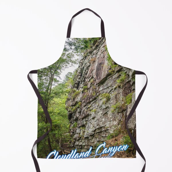 Item preview, Cloudland Canyon Georgia State Park designed and sold by GestaltImagery.