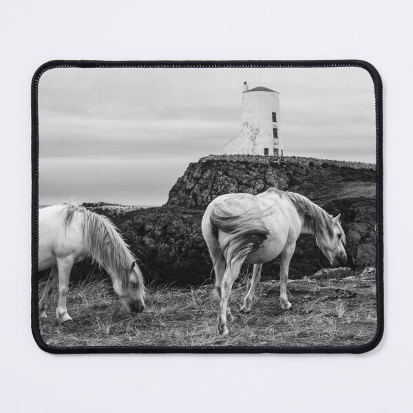Item preview, Llanddwyn Ponies designed and sold by Raymond Kerr.