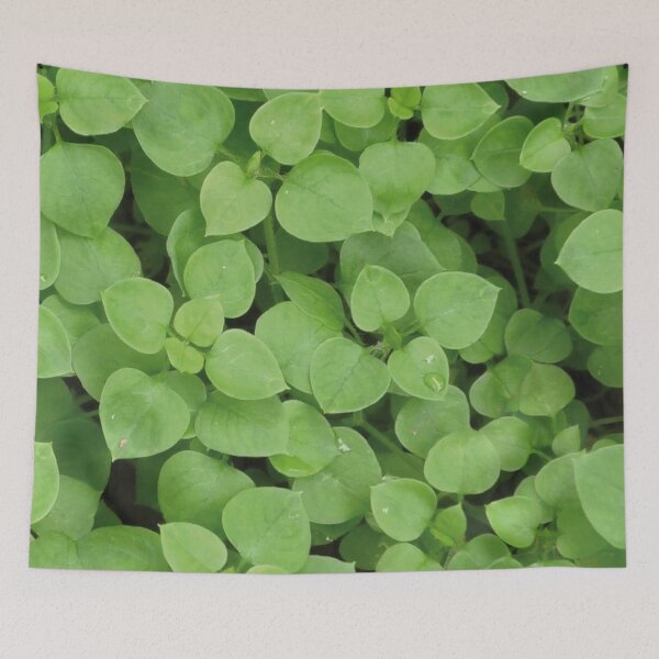 Item preview, Chickweed designed and sold by oksbprint.