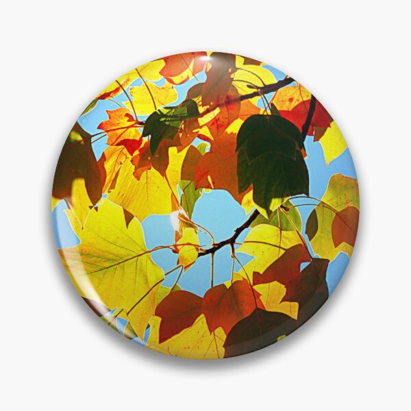 Item preview, Tulip Tree Autumn Foliage designed and sold by angel1.