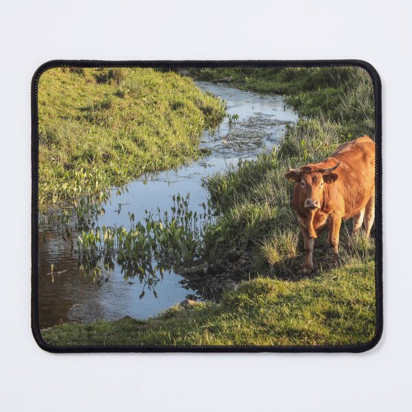 Item preview, Red Cow designed and sold by Raymond Kerr.