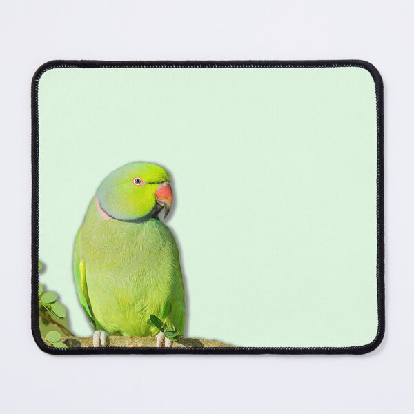 Item preview, Parrot is watching from the branch designed and sold by Ilknur Yavuz.