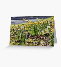 Easter Bunny in the Spring Daffodils Greeting Card
