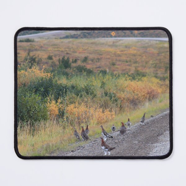 Item preview, Ptarmigans on Dempster Hwy designed and sold by zumi.