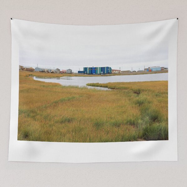 Item preview, Tuktoyaktuk village II designed and sold by zumi.