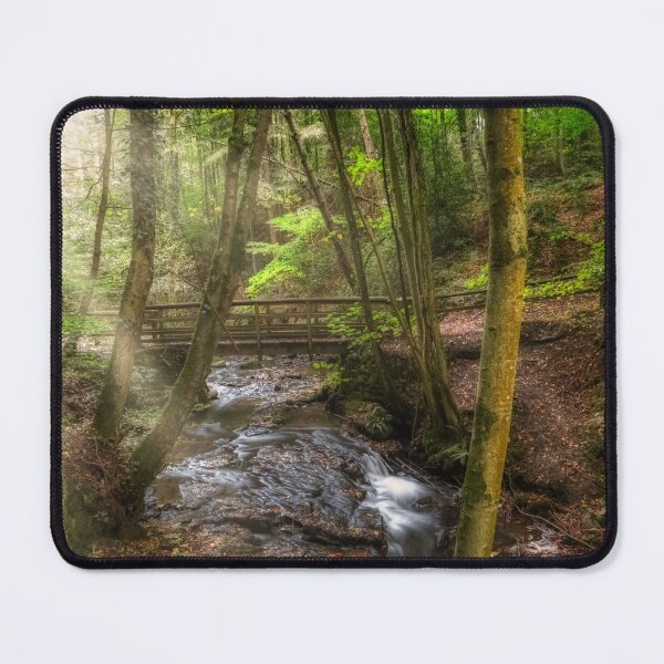 Item preview, sunlight shining through the trees designed and sold by EcDigitalPhoto.