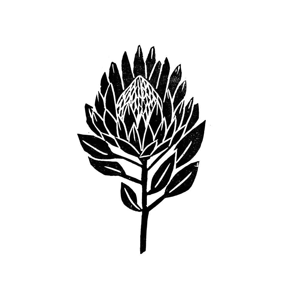 "Linocut Protea floral black and white minimal flower ...