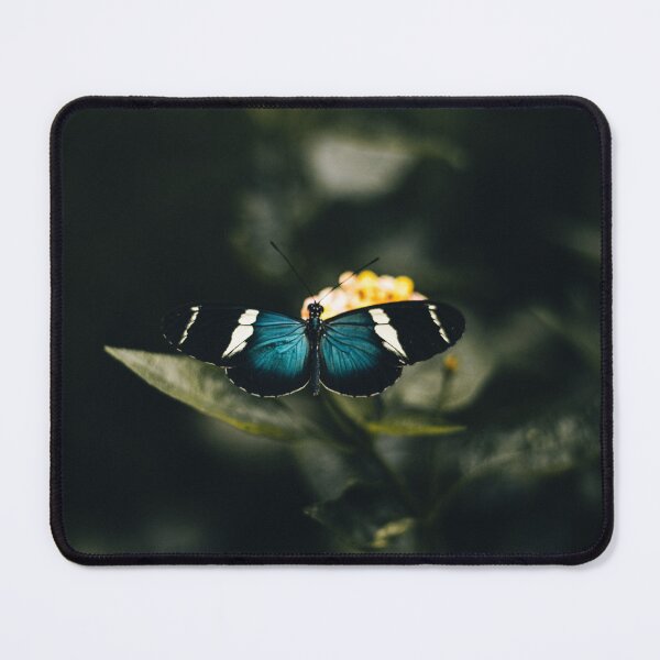 Item preview, Heliconius Sara Butterfly | 2023 designed and sold by oliverjaybower.