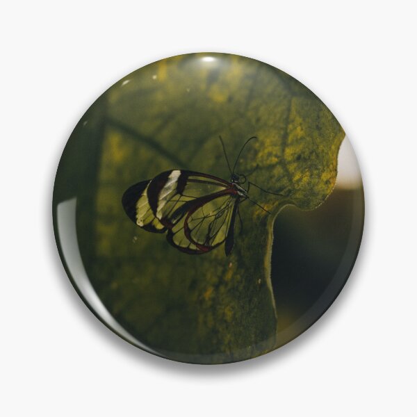 Item preview, Greta Oto Butterfly | 2023 designed and sold by oliverjaybower.