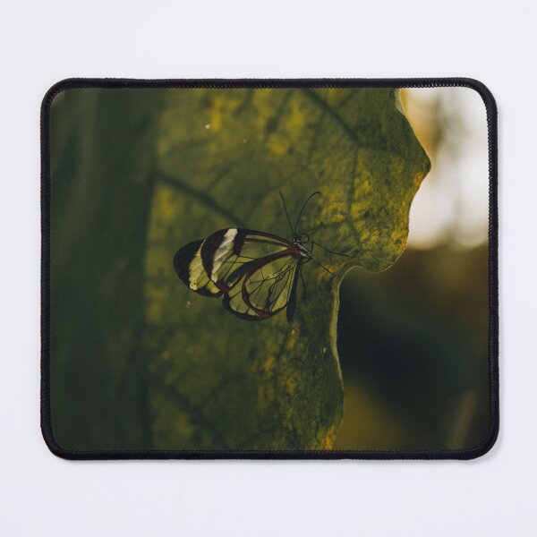 Item preview, Greta Oto Butterfly | 2023 designed and sold by oliverjaybower.