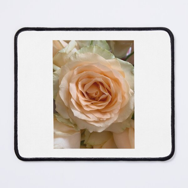 Item preview, Peach Roses designed and sold by ChrisDesigns86.