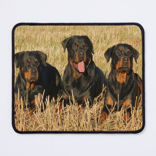 Item preview, rottweiler designed and sold by Collection de trésors .