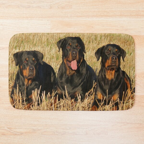 Item preview, rottweiler designed and sold by Collection de trésors .