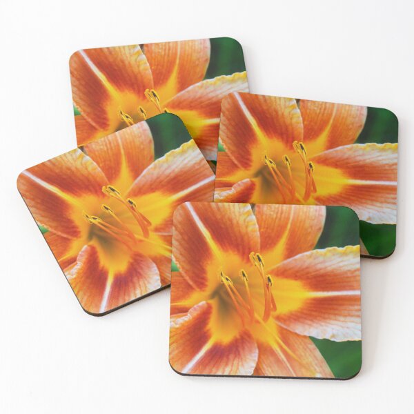 Item preview, Orange Day Lily Flower Photography designed and sold by ThePhotograph03.