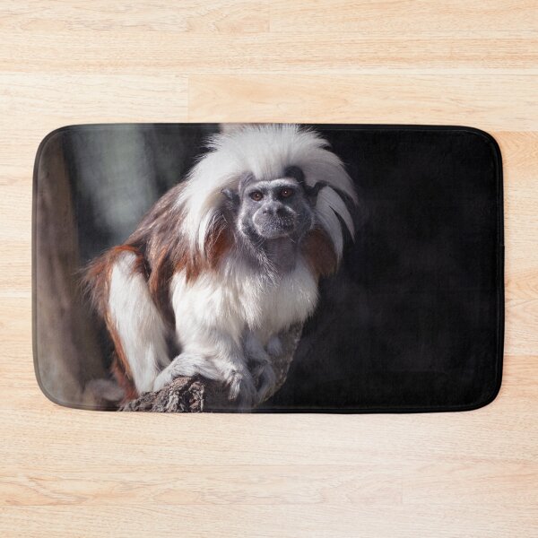 Item preview, Cottontop designed and sold by Savannah Gibbs.