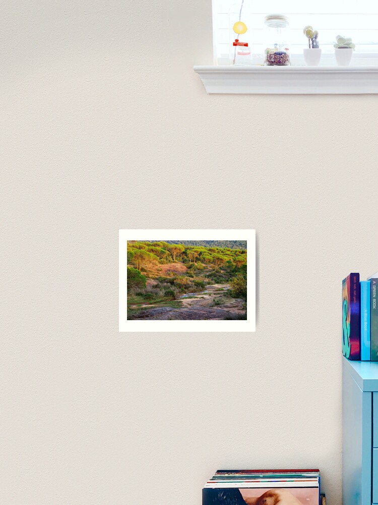 Thumbnail 2 of 3, Art Print, Parasol pines forest under the sunset light designed and sold by patmo.