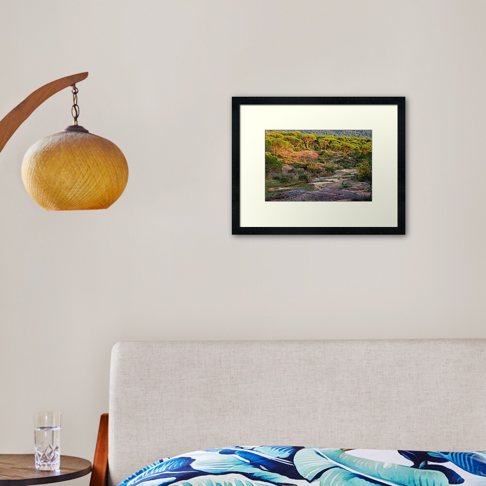 Item preview, Framed Art Print designed and sold by patmo.