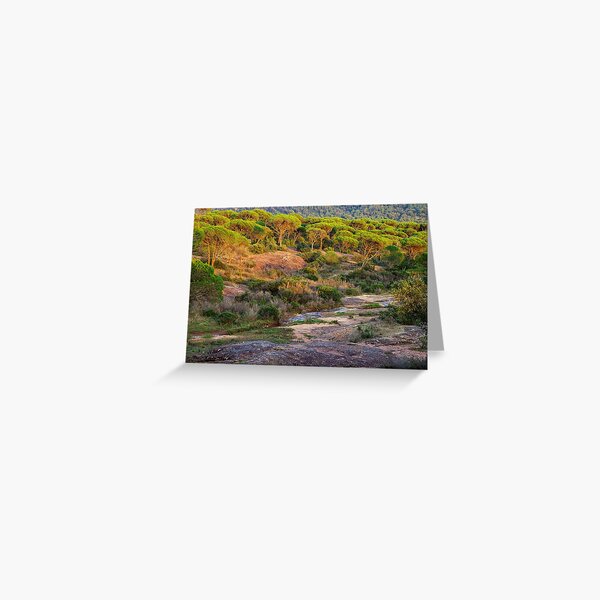 Greeting Card
