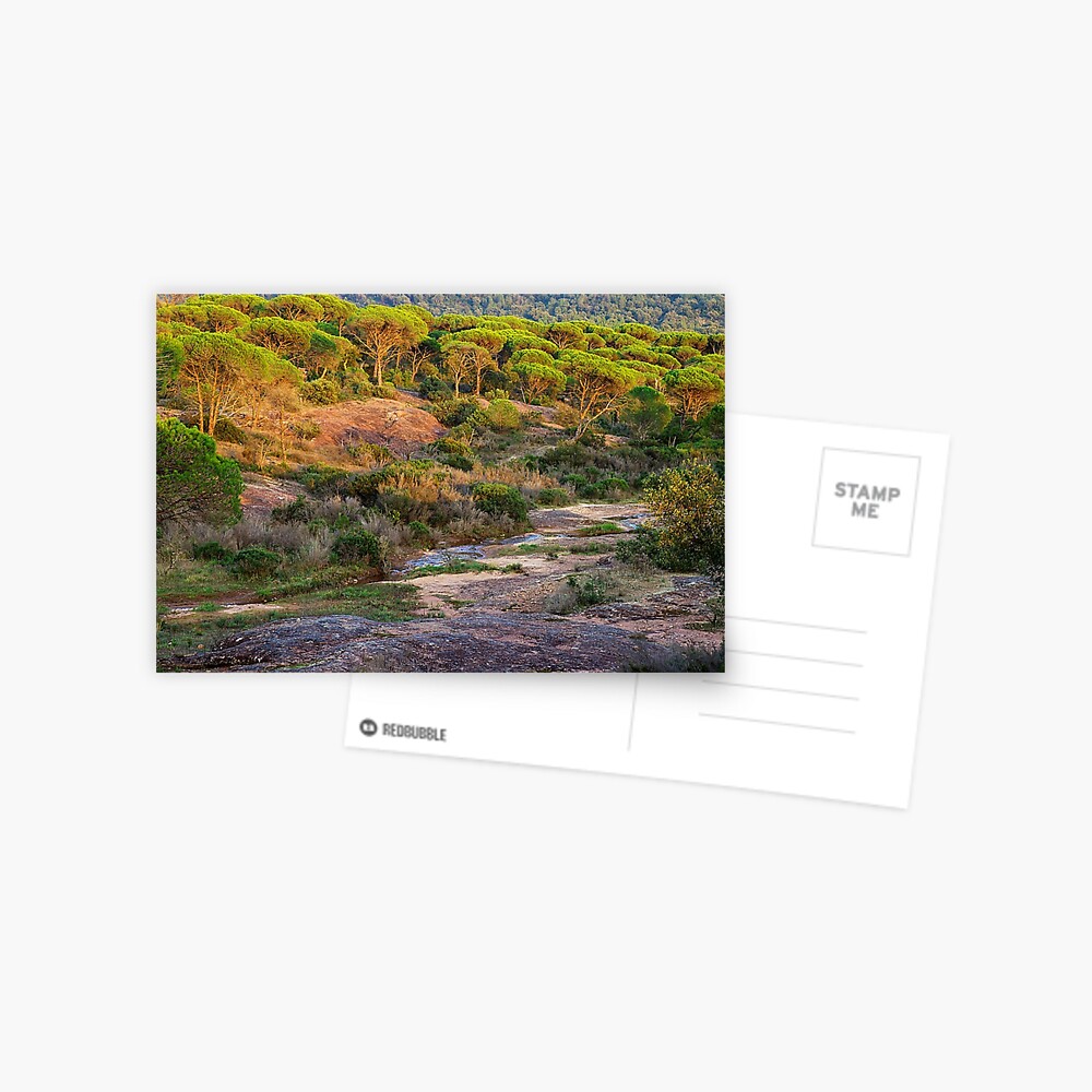 Item preview, Postcard designed and sold by patmo.