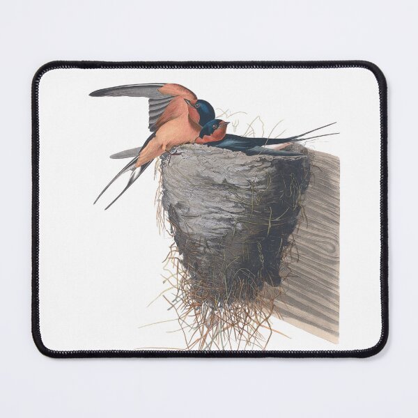 Item preview, Chimney Swallow Birds Vintage Chromolithograph by Audubon and Havell Sweet Pretty Happy Birdwatching Gift designed and sold by ElegantTeaTime.