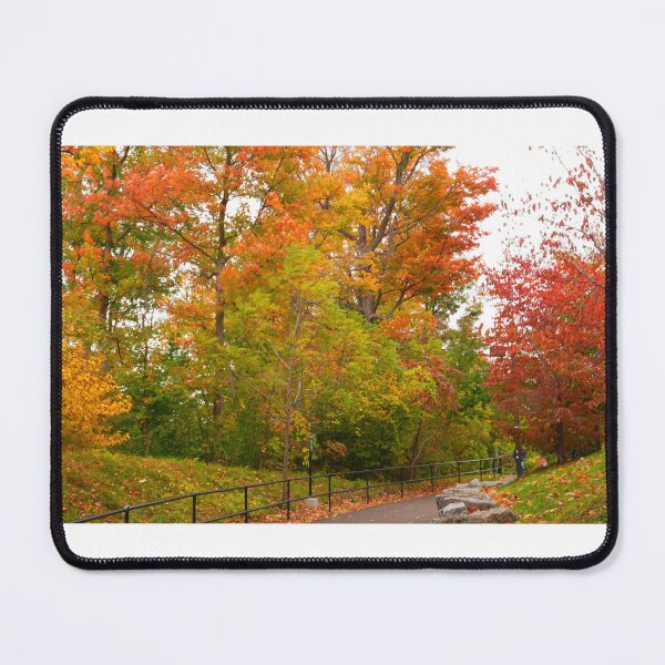 Item preview, Splendor of Goat Island - IX designed and sold by fototaker Tony.