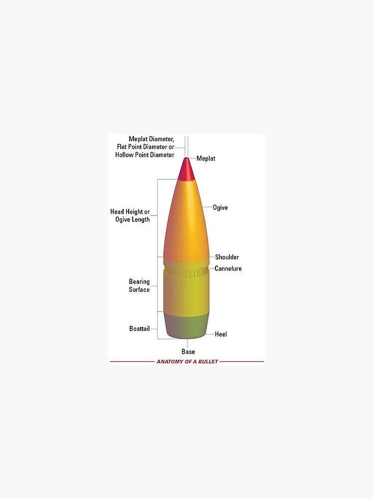 Anatomy of a Bullet