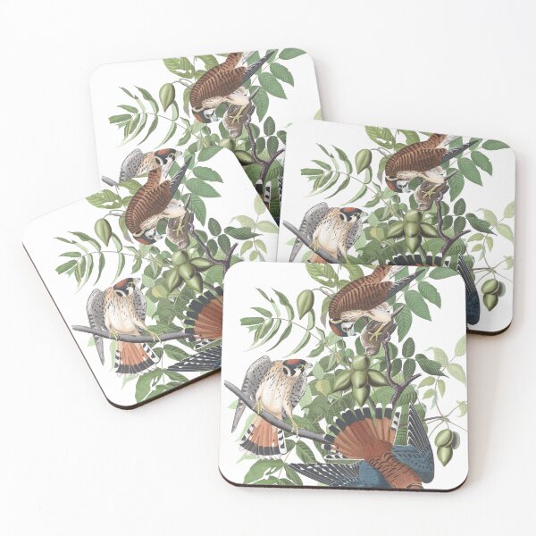 Item preview, Sparrow Falcon Bird Vintage Chromolithograph by Audubon and Havell Sweet Pretty Happy Birdwatching Gift designed and sold by ElegantTeaTime.