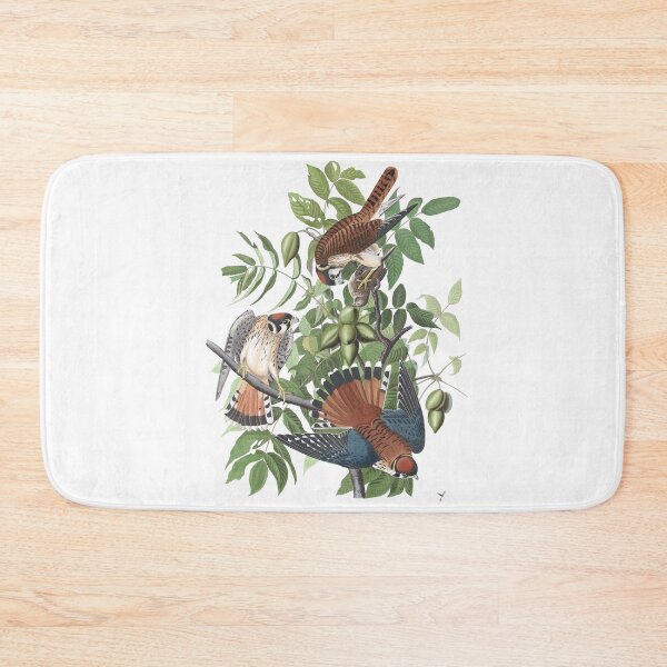 Item preview, Sparrow Falcon Bird Vintage Chromolithograph by Audubon and Havell Sweet Pretty Happy Birdwatching Gift designed and sold by ElegantTeaTime.