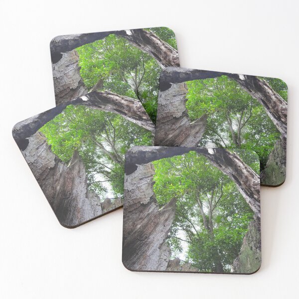 Item preview, Looking Through The Hollow Tree Trunk  designed and sold by AussieAl.