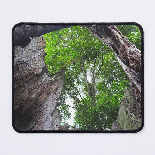 Item preview, Looking Through The Hollow Tree Trunk designed and sold by AussieAl.