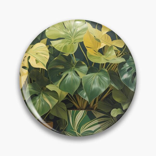 Item preview, Philodendrons in pots designed and sold by Planthem.