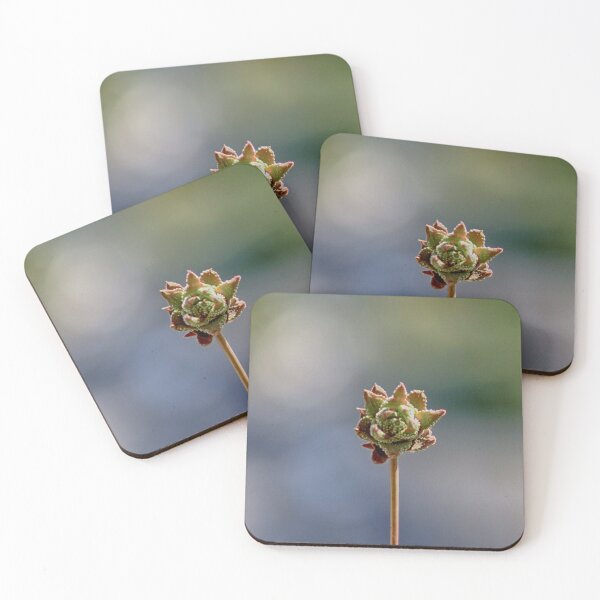 Item preview, pexels-jean-pierre-matteo designed and sold by ConstanceB6.