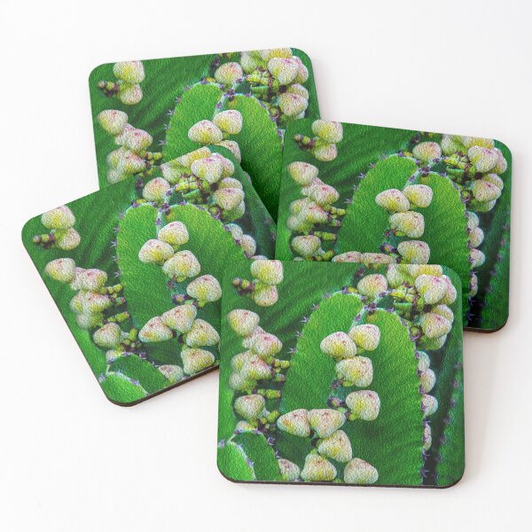 Item preview, Creative Cactus Fruiting designed and sold by heatherfriedman.