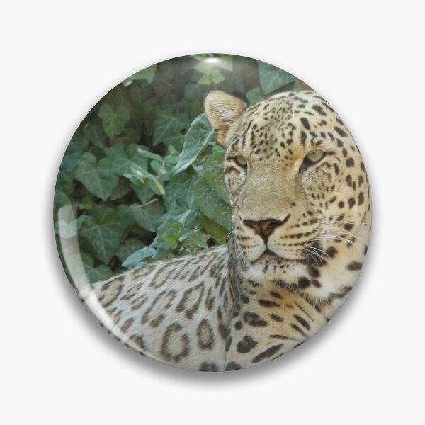 Item preview, Relaxes Leopard On A Tree designed and sold by TheAnimalZ00.