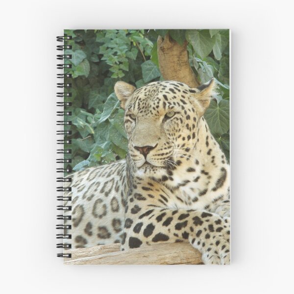 Item preview, Relaxes Leopard On A Tree designed and sold by TheAnimalZ00.