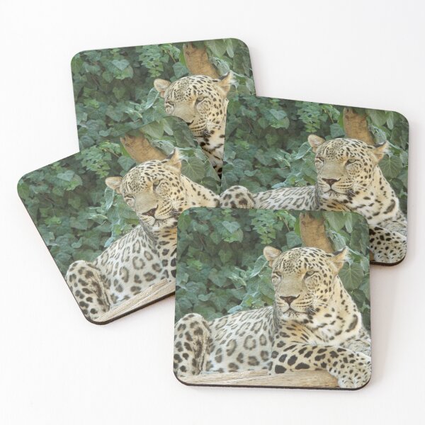 Item preview, Relaxes Leopard On A Tree designed and sold by TheAnimalZ00.