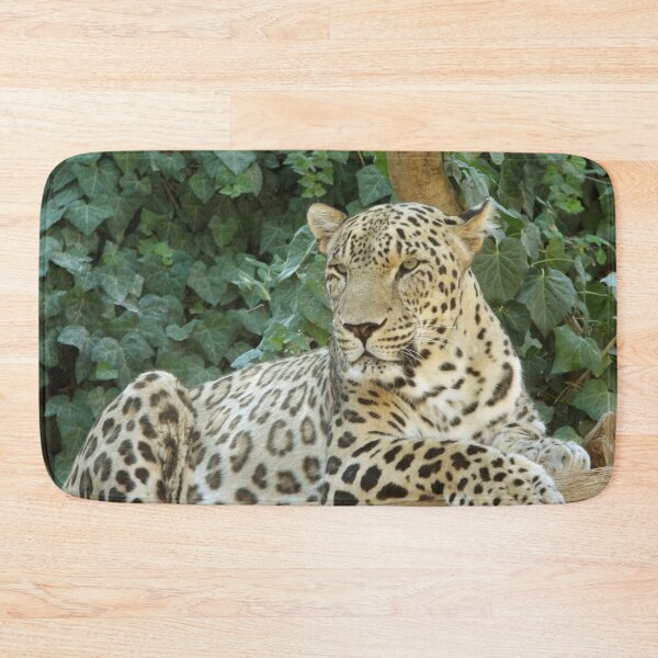 Item preview, Relaxes Leopard On A Tree designed and sold by TheAnimalZ00.