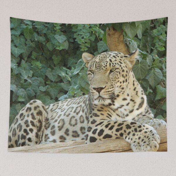 Item preview, Relaxes Leopard On A Tree designed and sold by TheAnimalZ00.